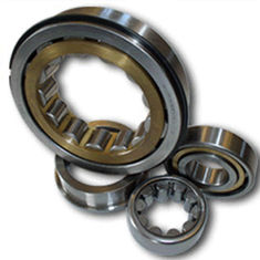 Chrome Steel Cylindrical Roller Bearing 50mm Bore With Single Row