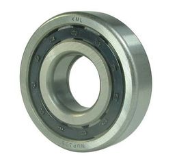 Single row cylindrical roller bearings NUP1019